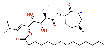 Bengamide P